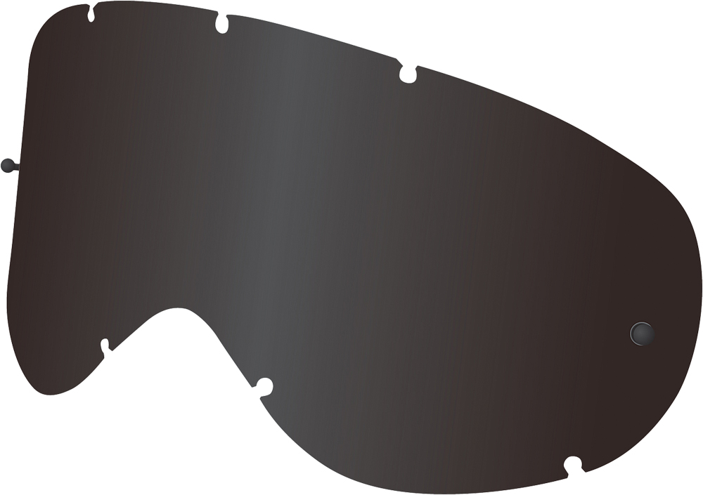 Dragon Alliance Replacement Lens for NFX Snow Goggles - Jet Polarized